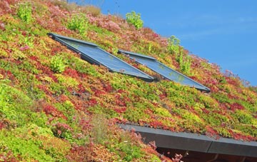 Gullane living roof systems