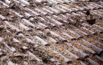 Gullane roof cleaning companies