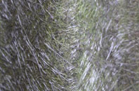 Gullane fibreglass roof work