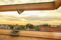 rated Gullane roof window companies